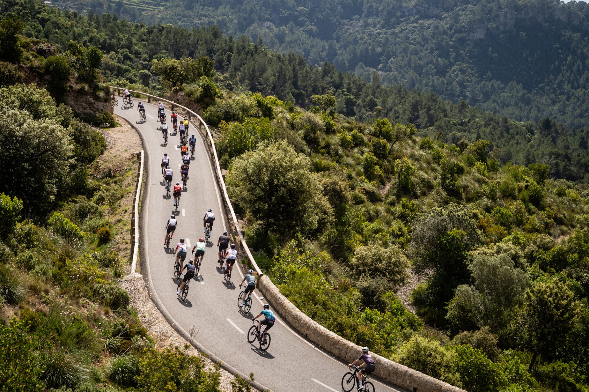 2_Mallorca 312 OK Mobility 2027