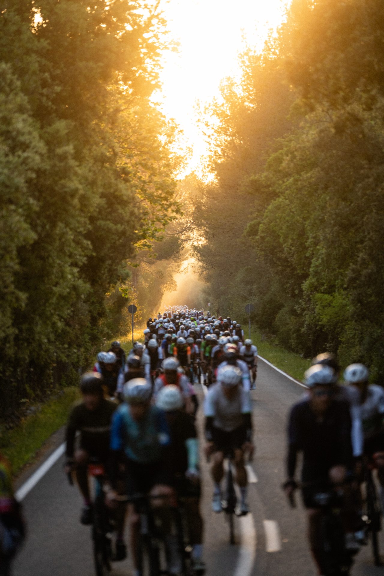 3_Mallorca 312 OK Mobility 2027