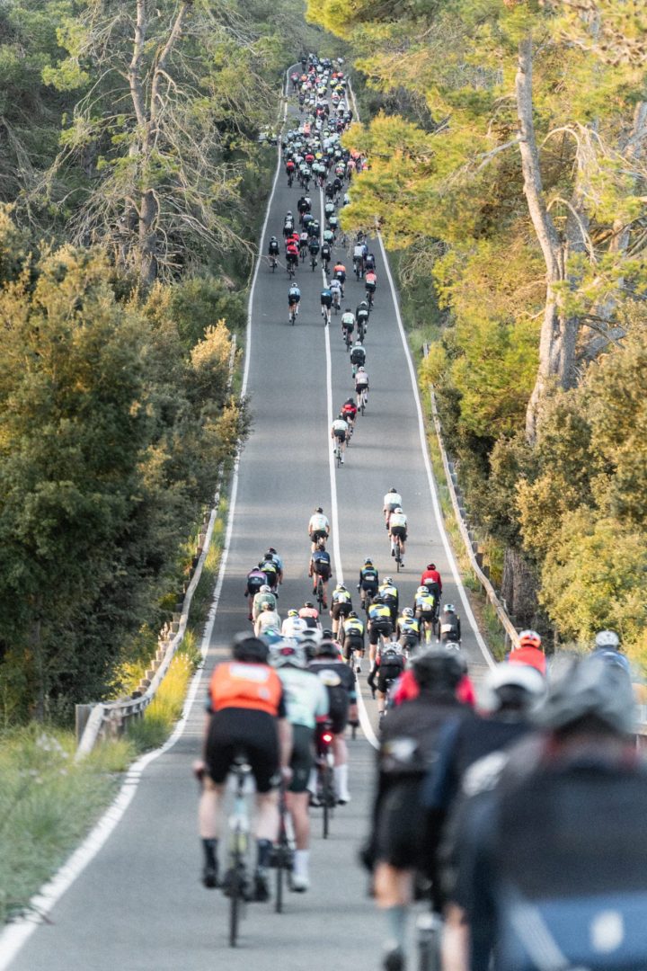 Mallorca 312 OK Mobility TTOO_10-