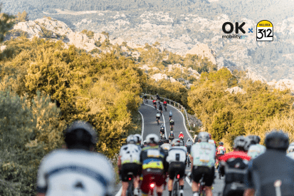 Mallorca 312 OK Mobility TTOO_2-