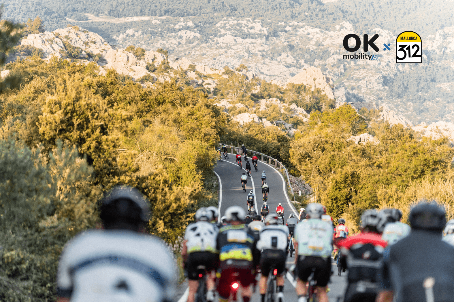Mallorca 312 OK Mobility TTOO_2-
