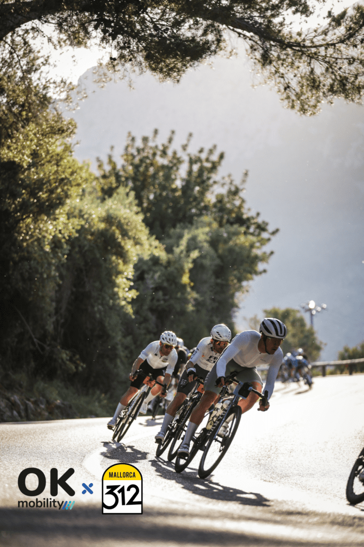 Mallorca 312 OK Mobility TTOO_3-
