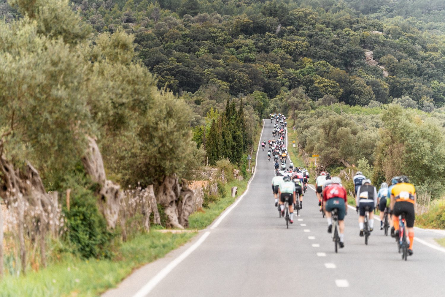 Mallorca 312 OK Mobility TTOO_9-